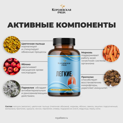 АПИ-КОМПЛЕКС для ЛЕГКИХ, 60 капсул